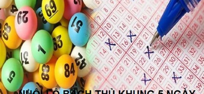 nuôi lô bạch thủ khung 5 ngày