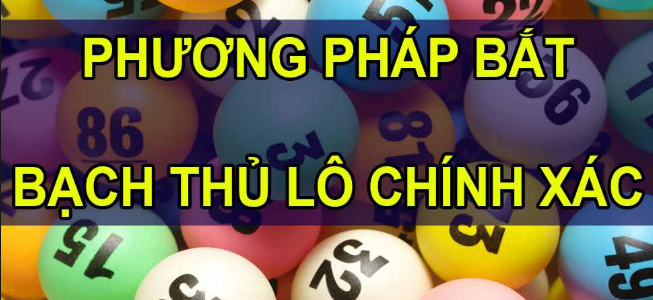 Phương pháp bắt bạch thủ lô dễ dàng